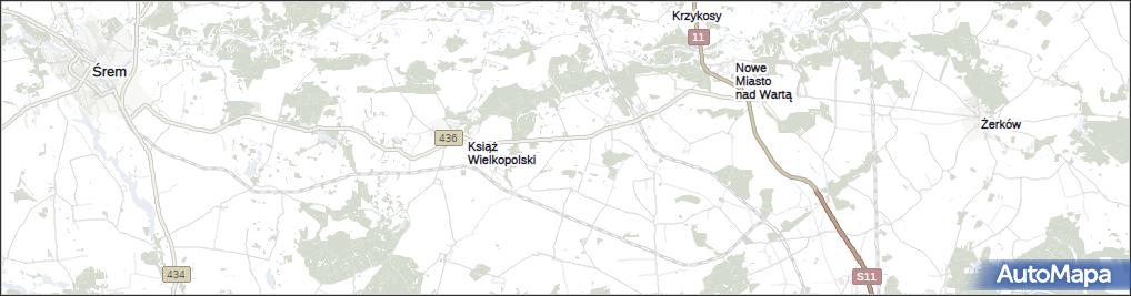 Kruczynek